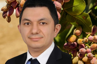 UKAB MYK Üyesi Büyükmurat: İthal fıstık çiftçiyi bitirir!