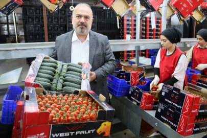 Çözüm Çağrısı